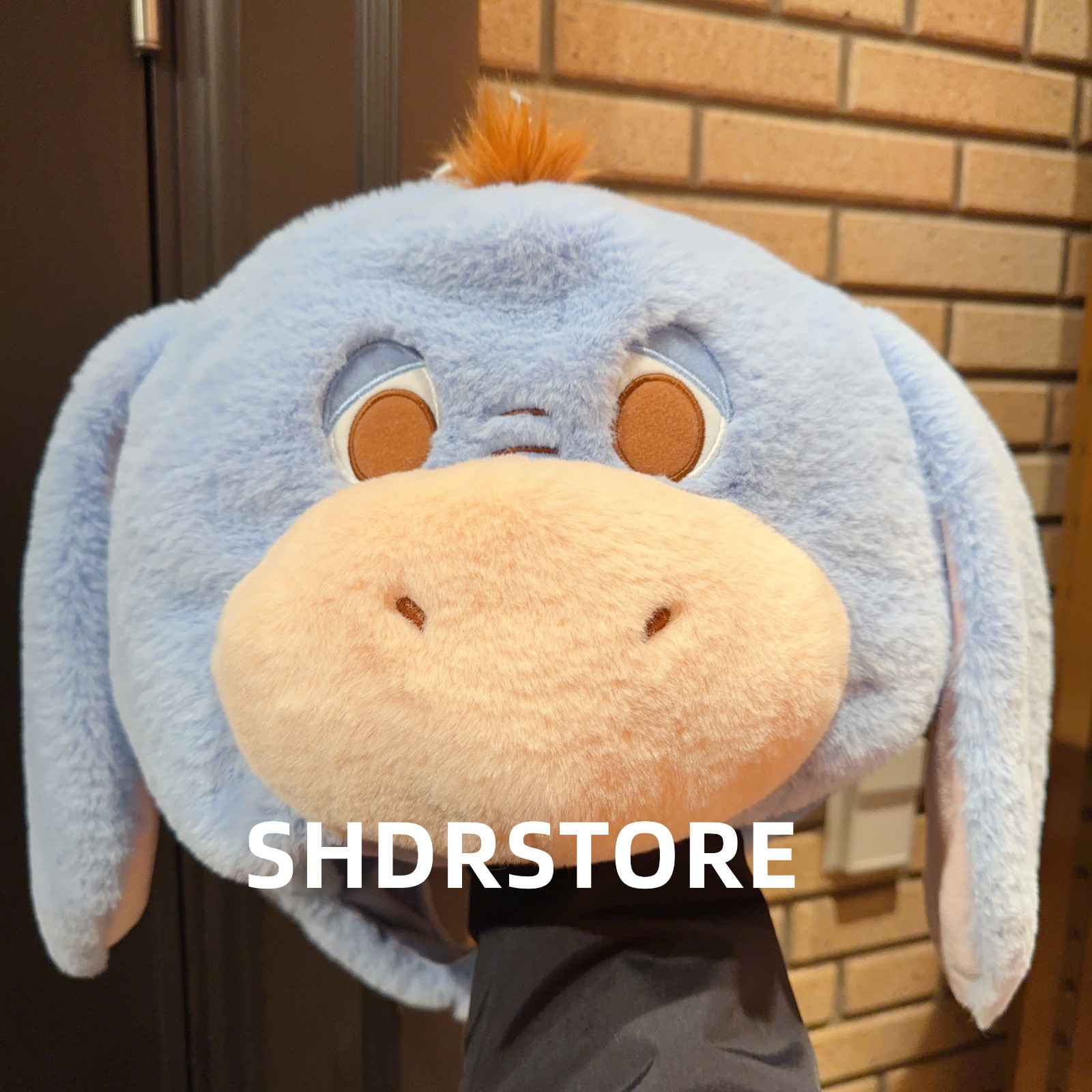Disney authentic Winnie the pooh eeyore plush cap hat Shanghai disneyland