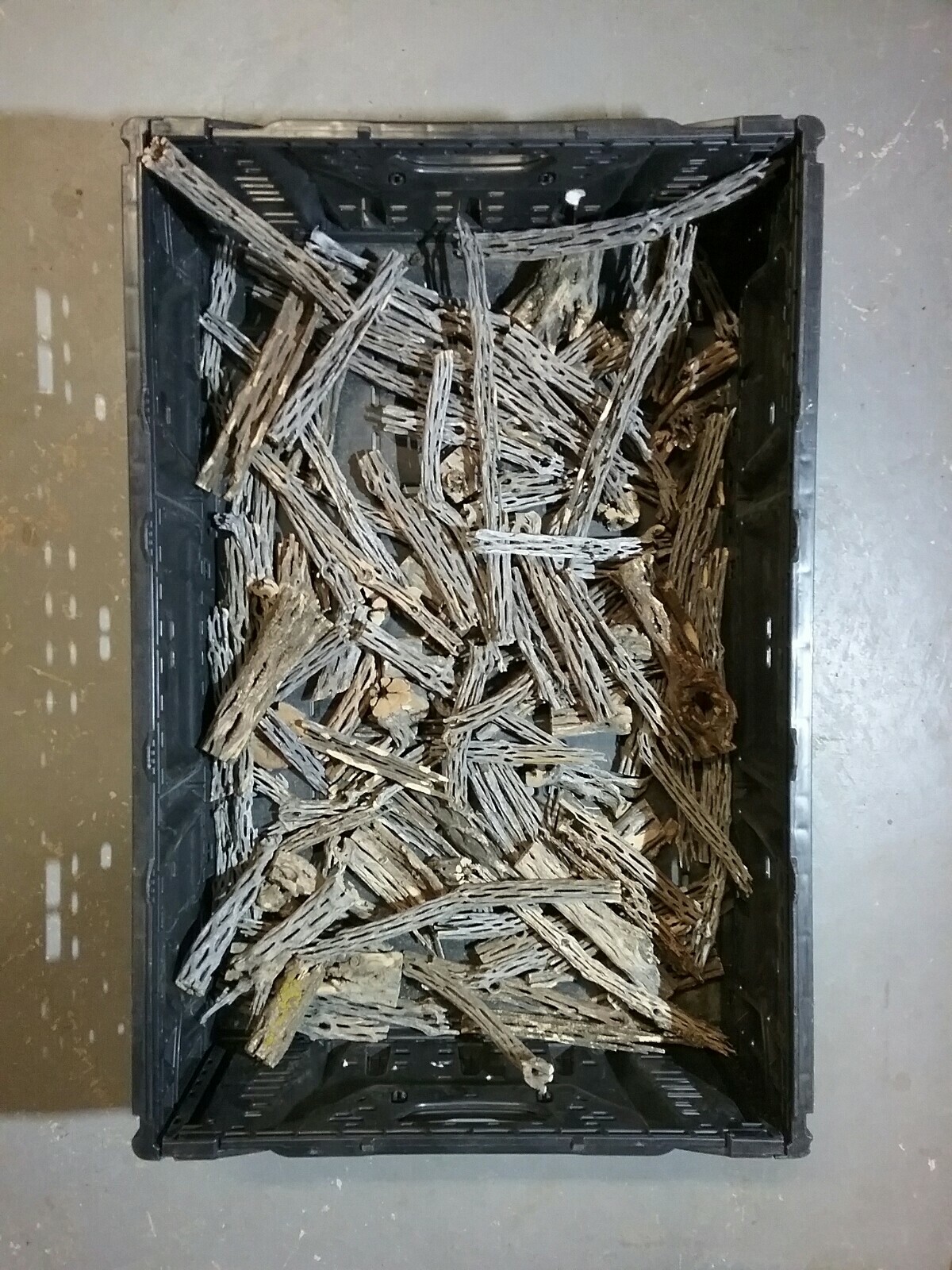 2+ LBS CHOLLA Wood CUTOFFS | Whole Pieces Split Halves Bits | Aquarium, Crafts