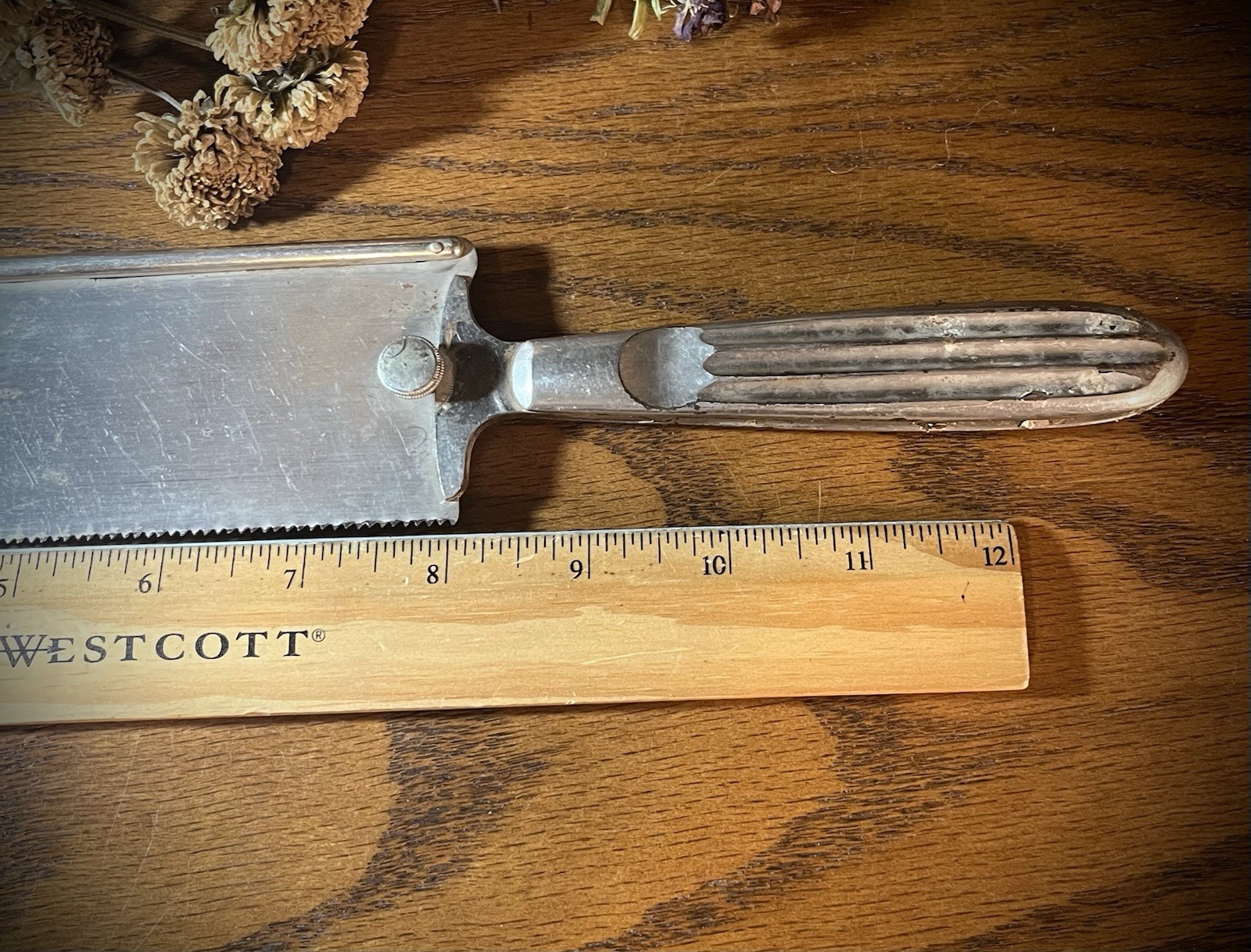 Antique chrome metal bone amputation saw mortuary autopsy surgery medical