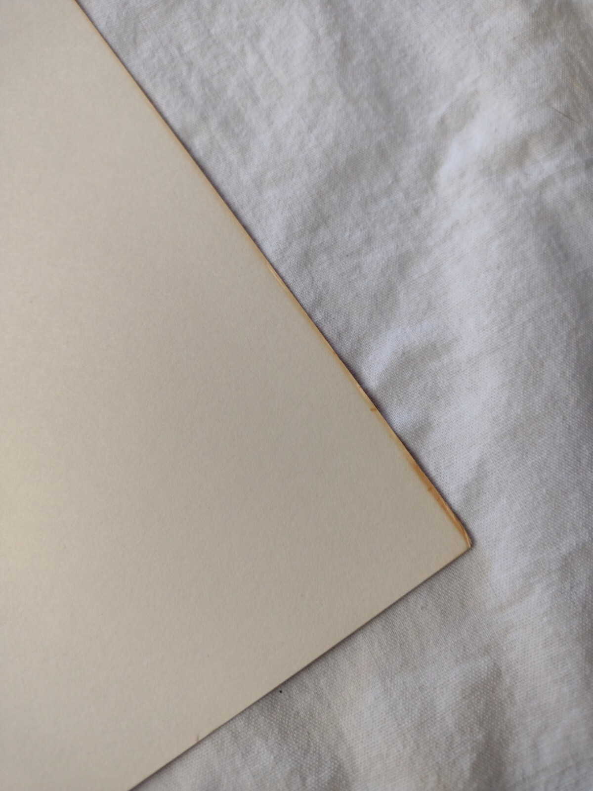 New Old Stock '75 Adventures Of The Wilderness Family 14x22 Theater Movie Poster