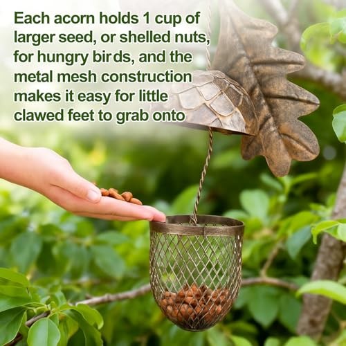 Acorn Bird Feeder Outdoor Garden Hanging Feeding Station Sturdy Squirrel
