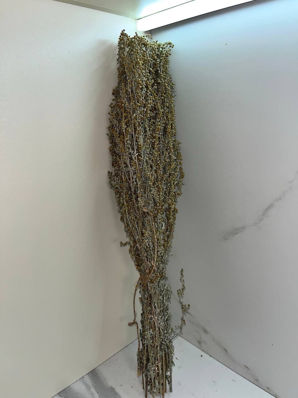 10 Tarragon brooms sauna banya venik oak birch whisks eco 2025 Ukrainian