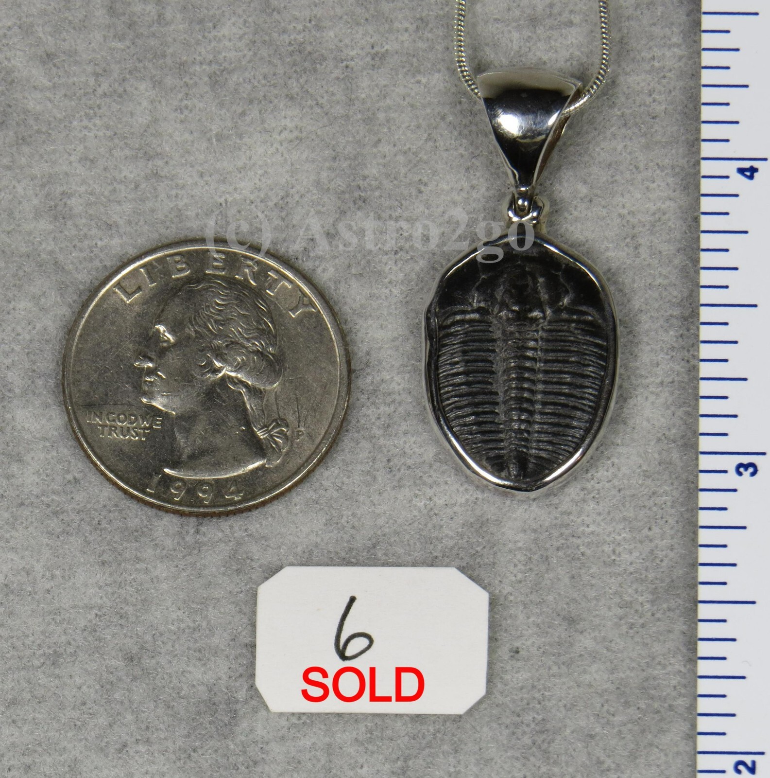 Elrathia Kingii TRILOBITE PENDANT $55 Sterling Silver Jewelry STARBORN CREATIONS