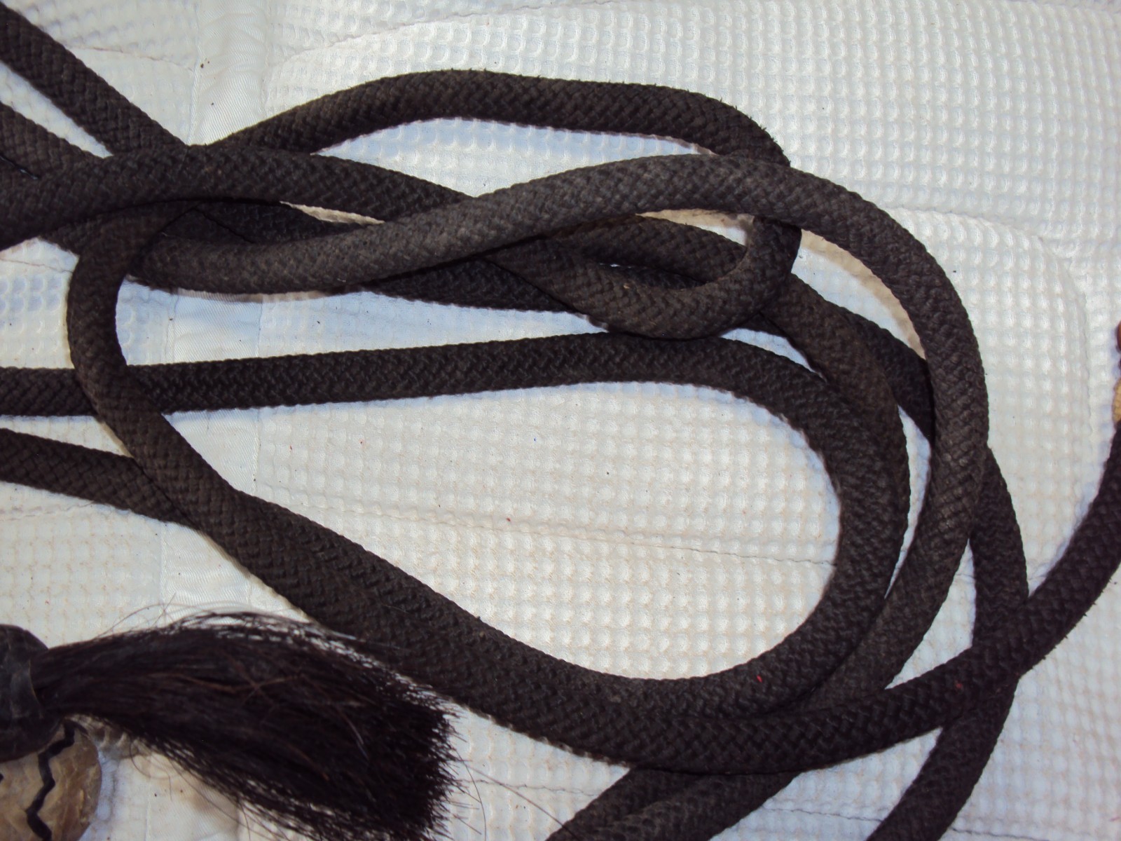 Western Rawhide Braided Bosal & Mecate Reins - Tassels - Full Size - GREAT