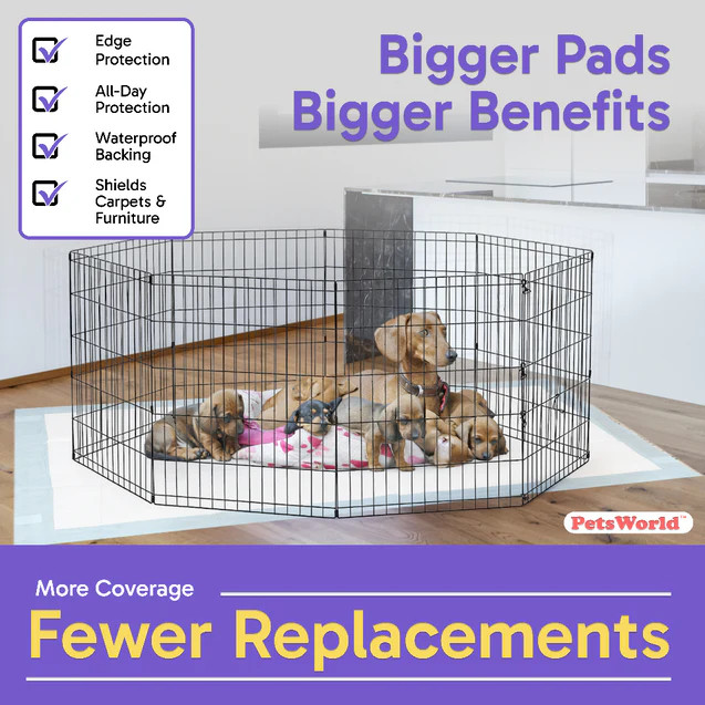 PETSWORLD Premium Extra Large Dog Pee Pads (43" x 74")Jumbo Puppy Training Pads
