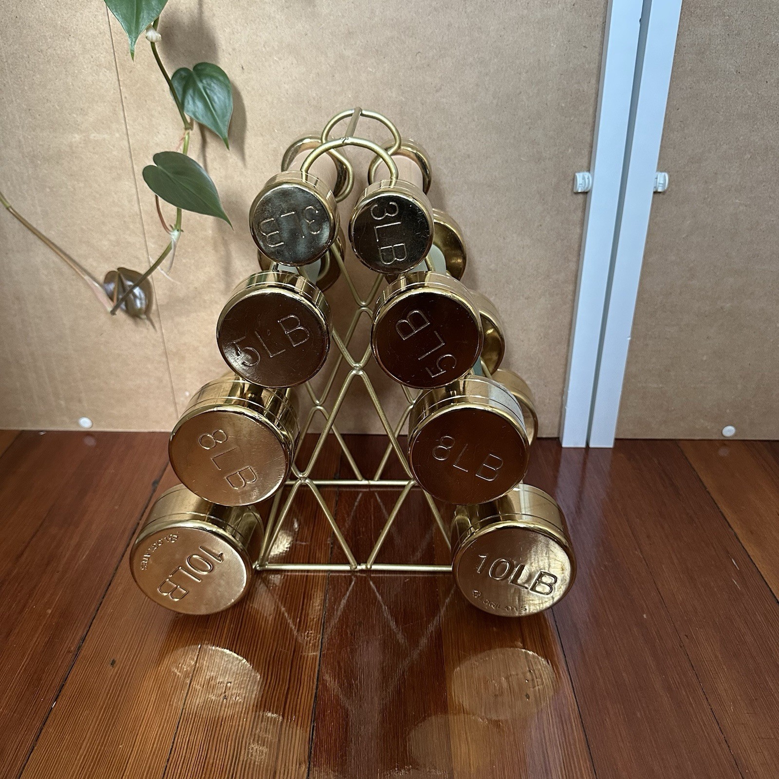 Blogilates Rare Discontinued Gold Dumbbell Weights 3lbs 5lbs 8lbs 10lbs Full Set