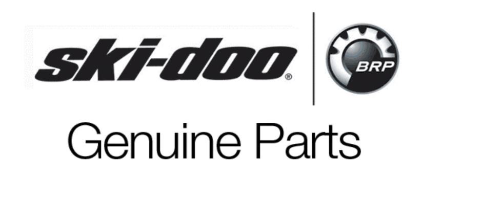 Ski-Doo LinQ Universal Rack 860202357