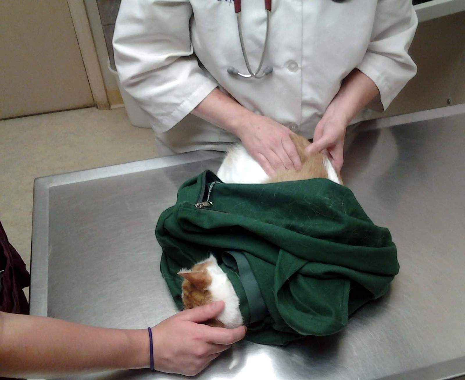 Cat-in-the-bag Cozy Comfort Carrier