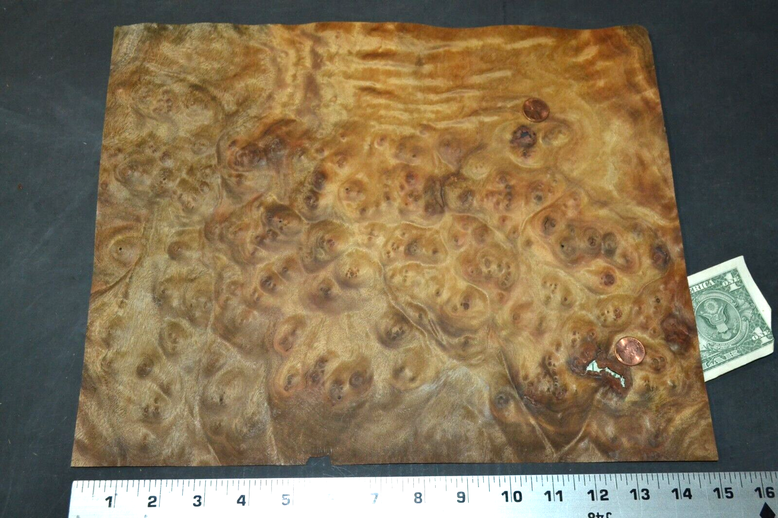 Camphor Burl Raw Wood Veneer Sheet 11.5 x 14.5 inches 1/42nd thick 4672-83