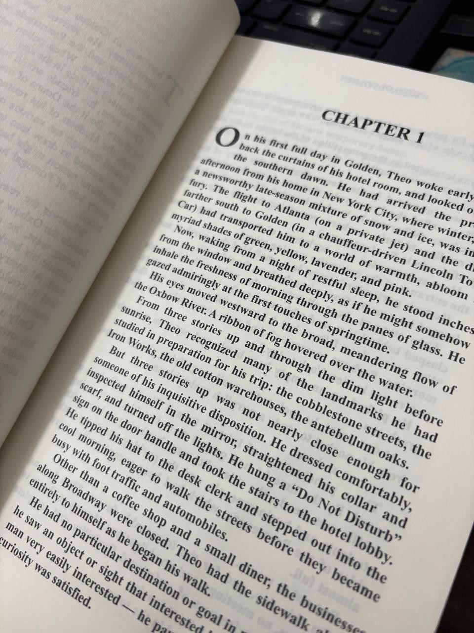 Theo of Golden Paperback by Allen Levi New book.