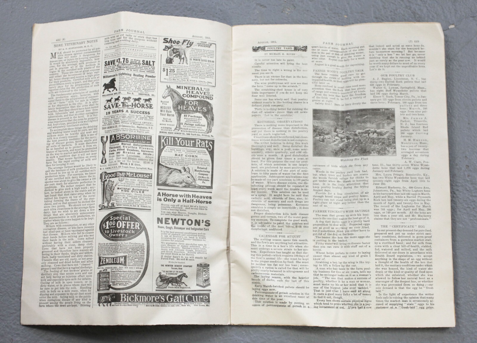 Vintage The Farm Journal August 1915 Philadelphia