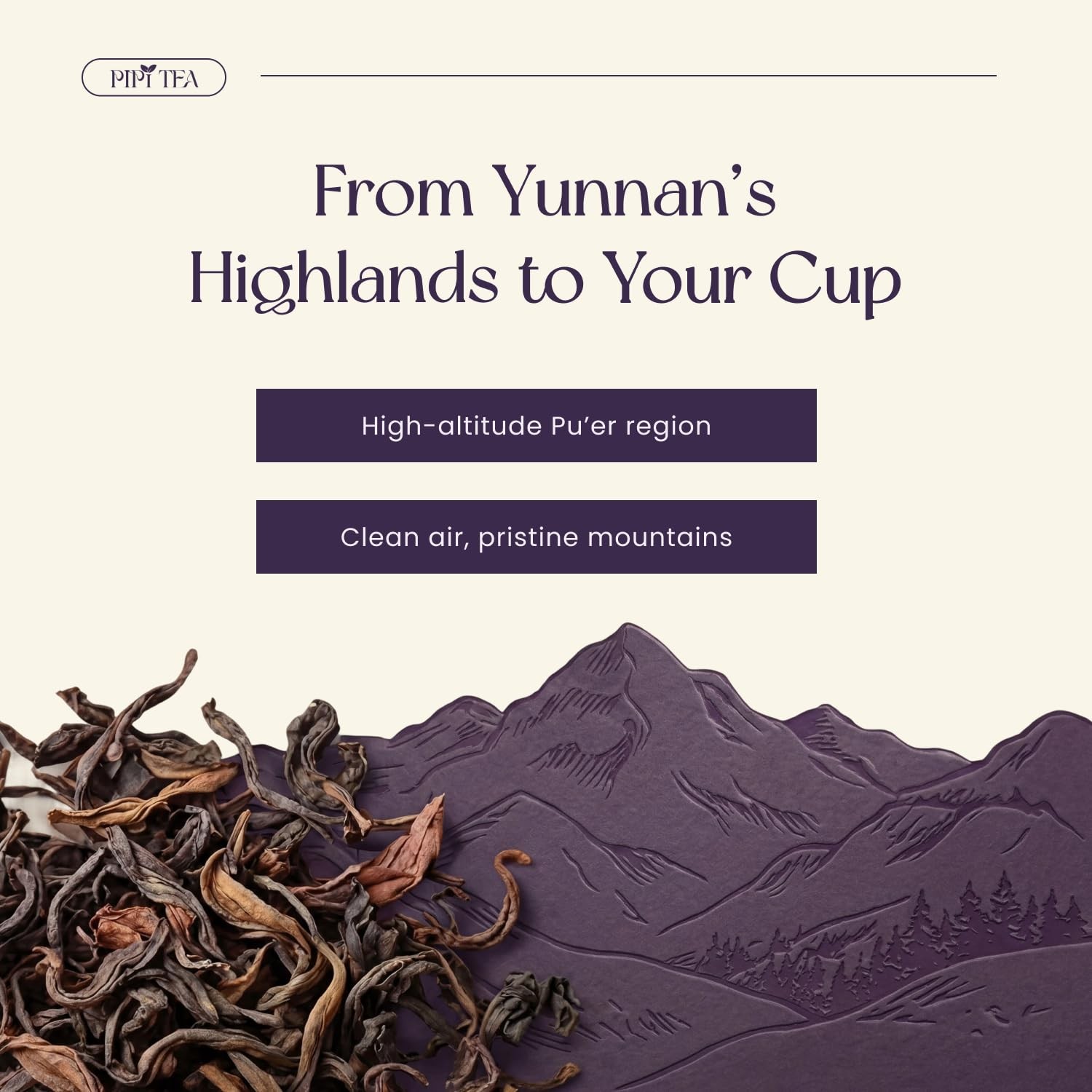 PiPi Tea Organic Oolong Bags – Whole Leaf, 20 (4g Each)