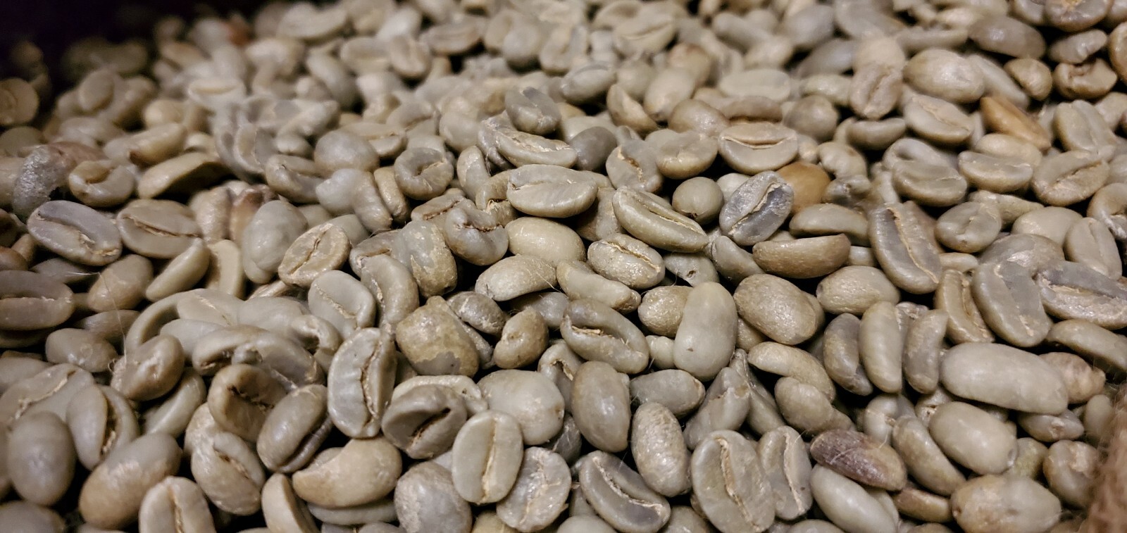 5 LBS PAPUA NEW GUINEA UNROASTED GREEN COFFEE BEANS - ARABICA