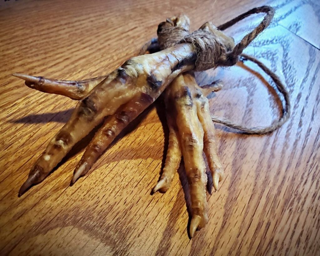 Chicken Feet, Luck Charm, Voodoo Protection, Gallus Domesticus, Oddities