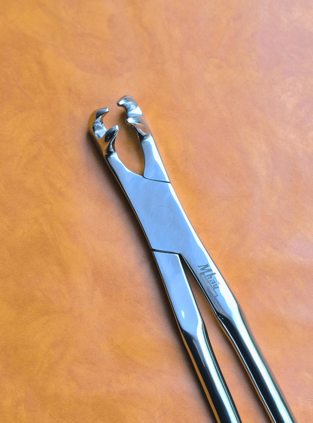Equine Dental Forceps Four Prong 21"