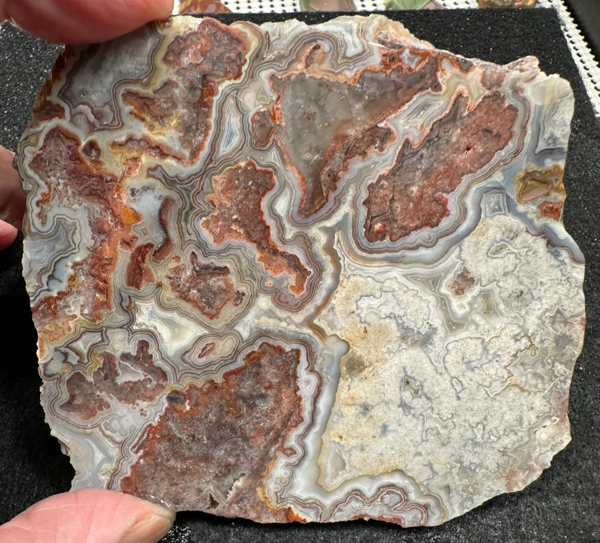 Crazy lace Agate unfinished slab, great for cabbing 4.98oz (#1026)