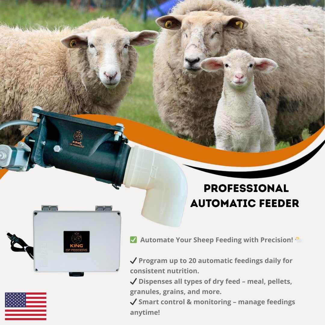 Automatic Feeder for Goats, Sheep, and Lambs, Food Dispenser with Timer