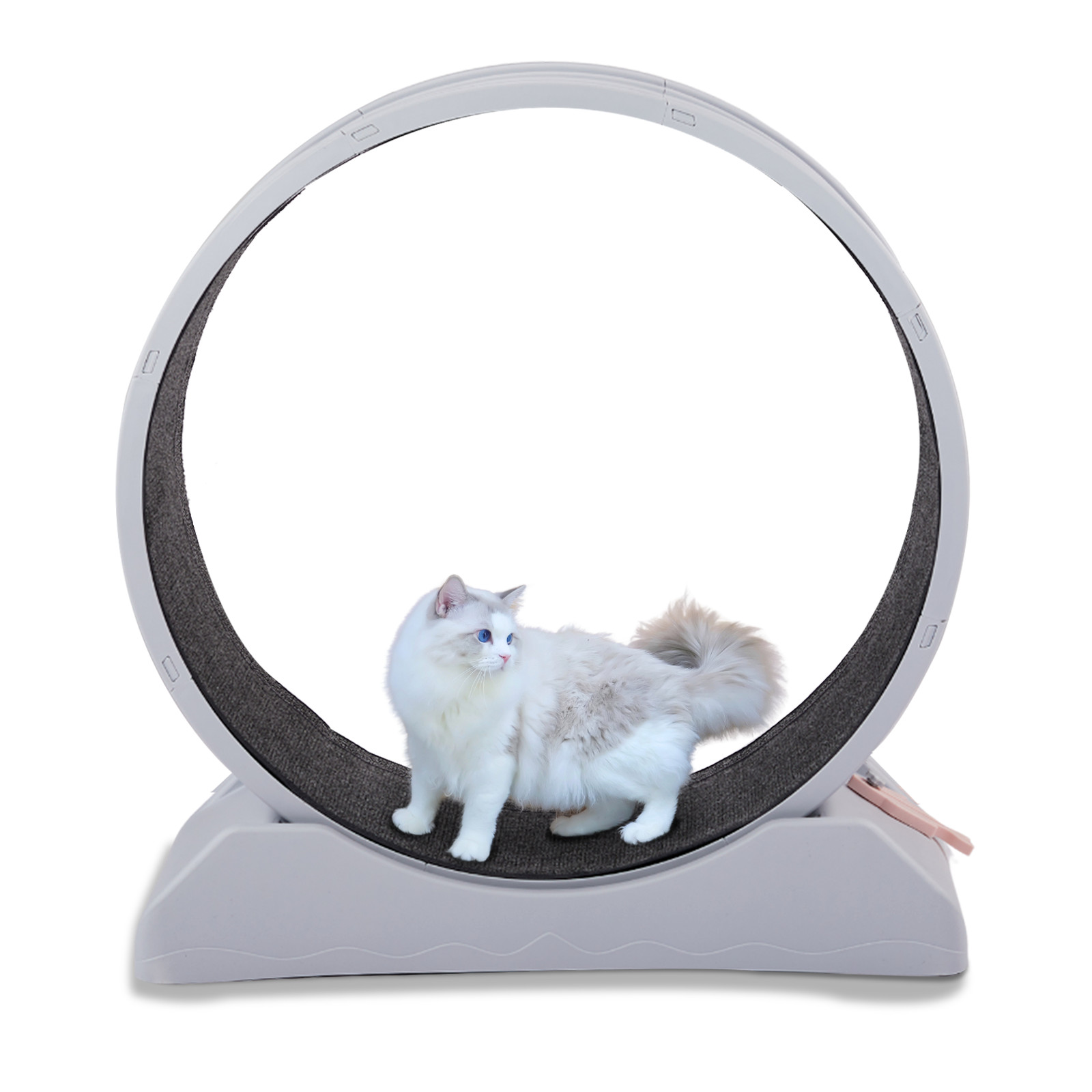 Large Cat Exercise Wheel Cat Treadmill Cat Running Wheel Silent Movement Cat Toy