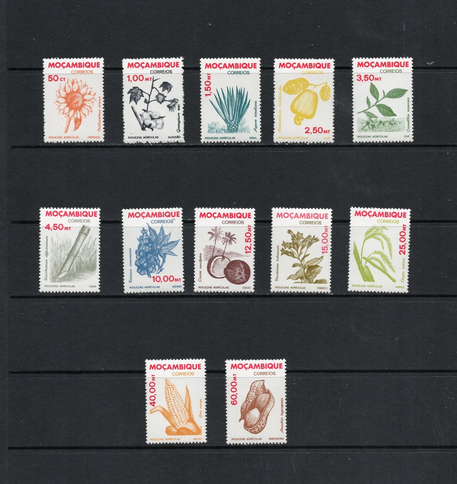 T0941   Mozambique   1981    flora,   crops   12v.    MVLH