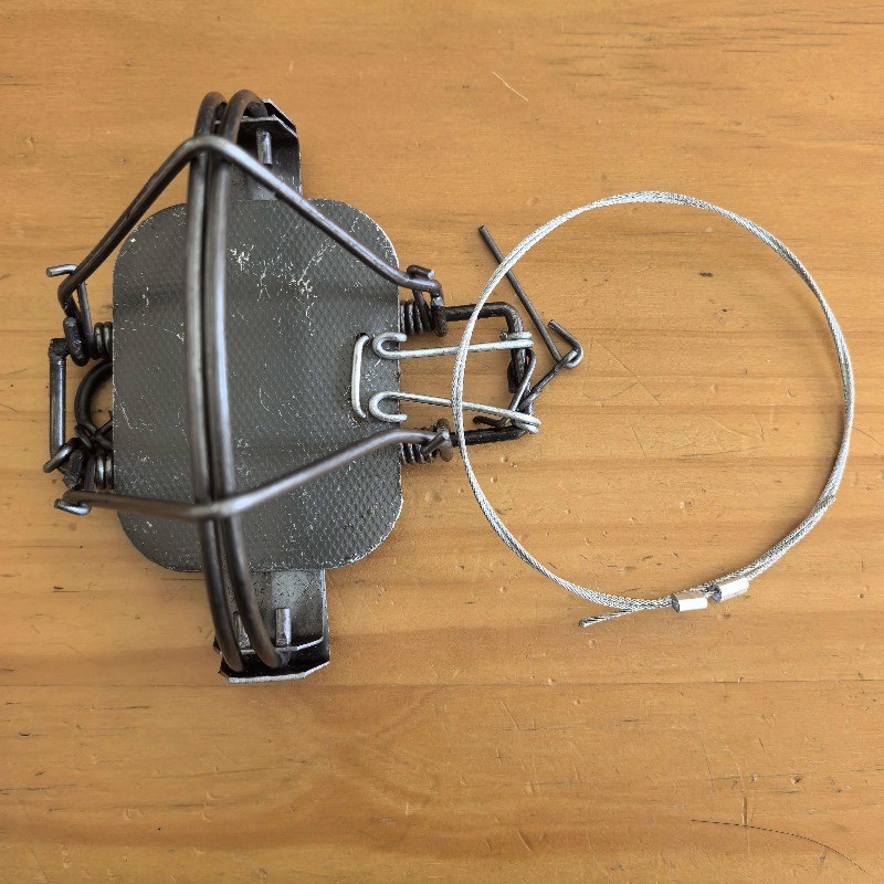 Coil Spring Traps Coyote Raccoon Mink Mouse Rat Nutria Muskrat Survival Trapping