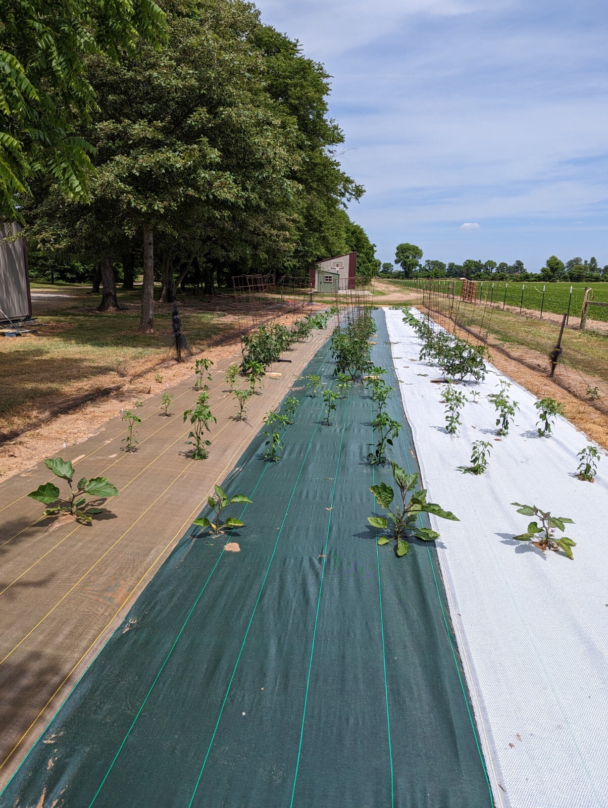 DeWitt BROWN Sunbelt 3.2 ounce Multiple Sizes 3ft, 4ft, & 6ft