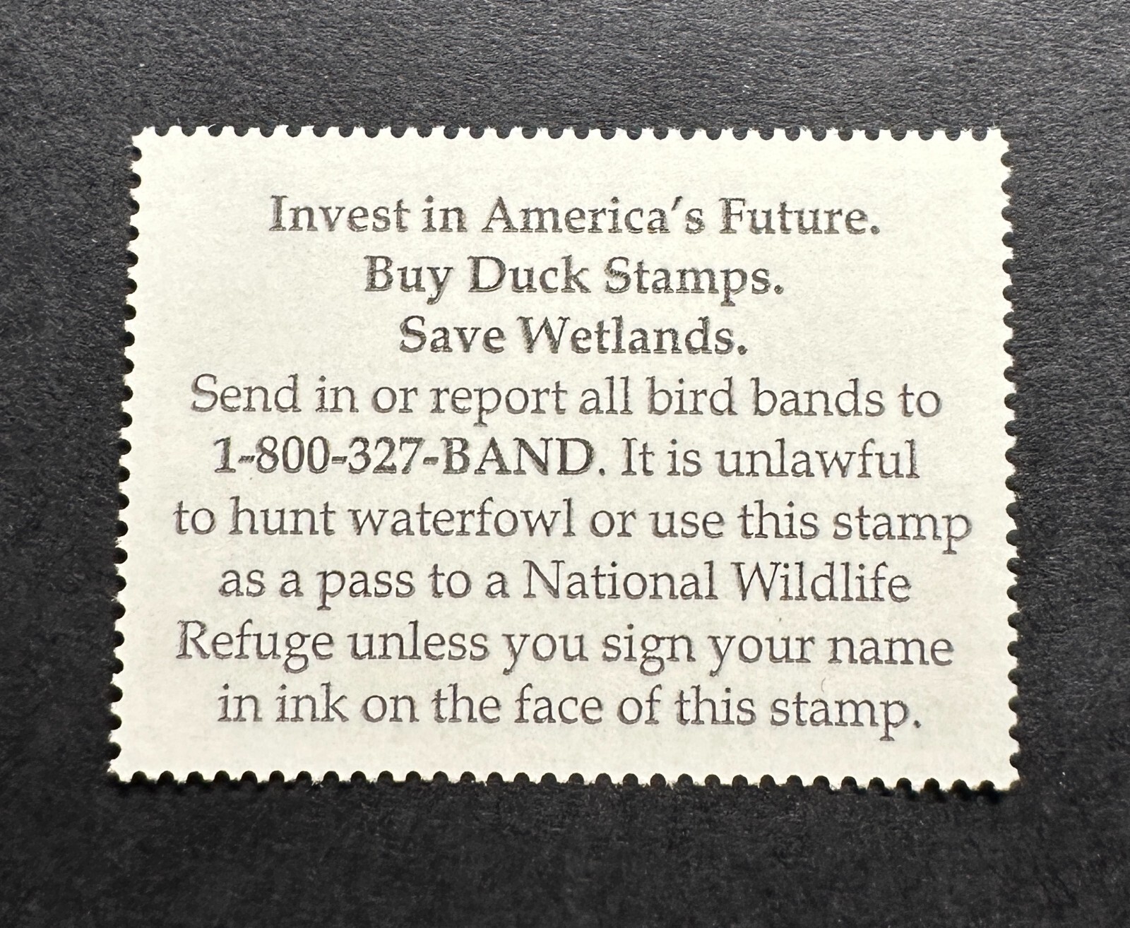 WTDstamps - #RW75 2008 - US Federal Duck Stamp - Mint OG NH