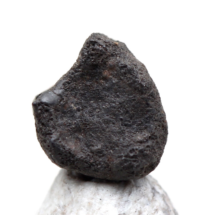 CHELYABINSK Meteorite Specimen Stone Chondrite RUSSIA w/ Case & ID Card