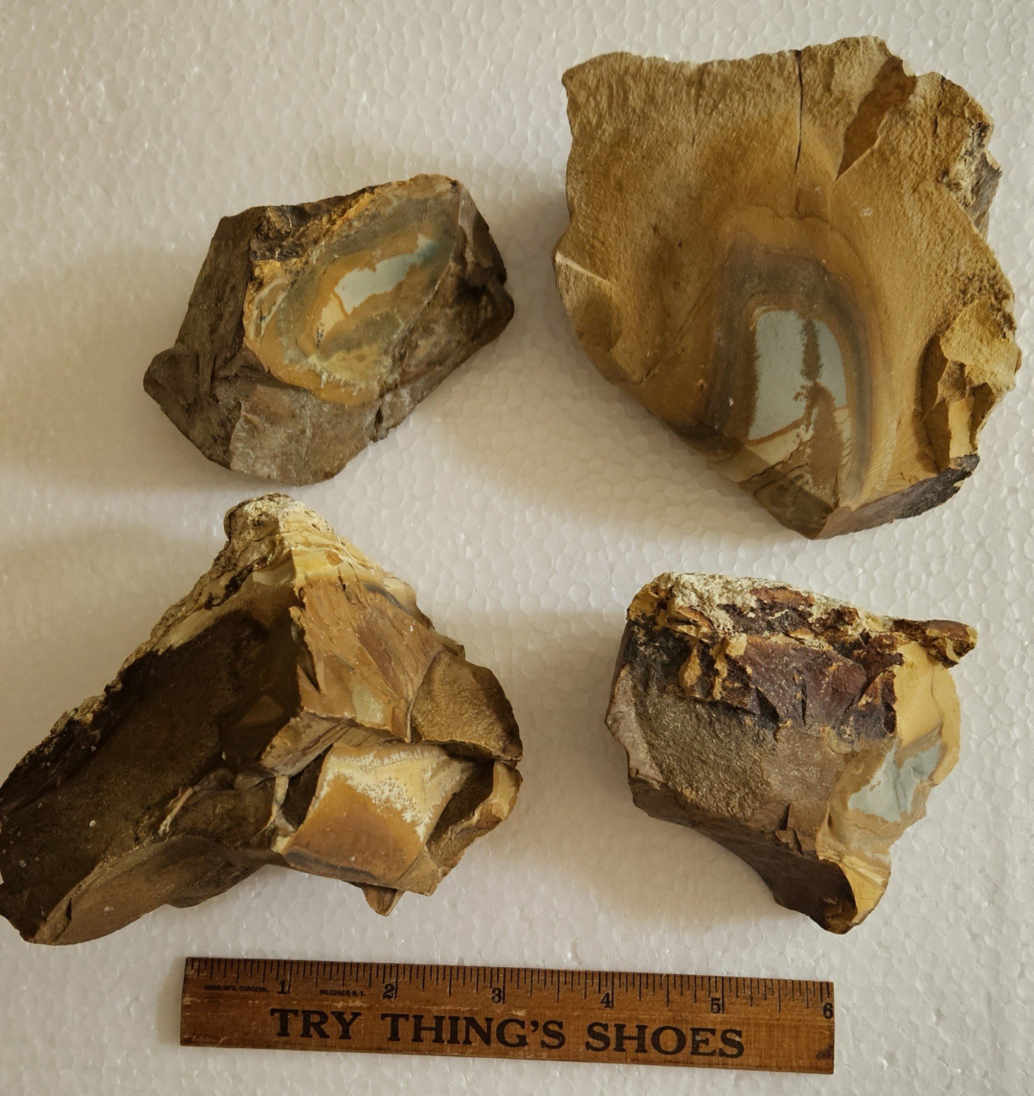 3+ Pounds Old Stock Owyhee Picture Jasper