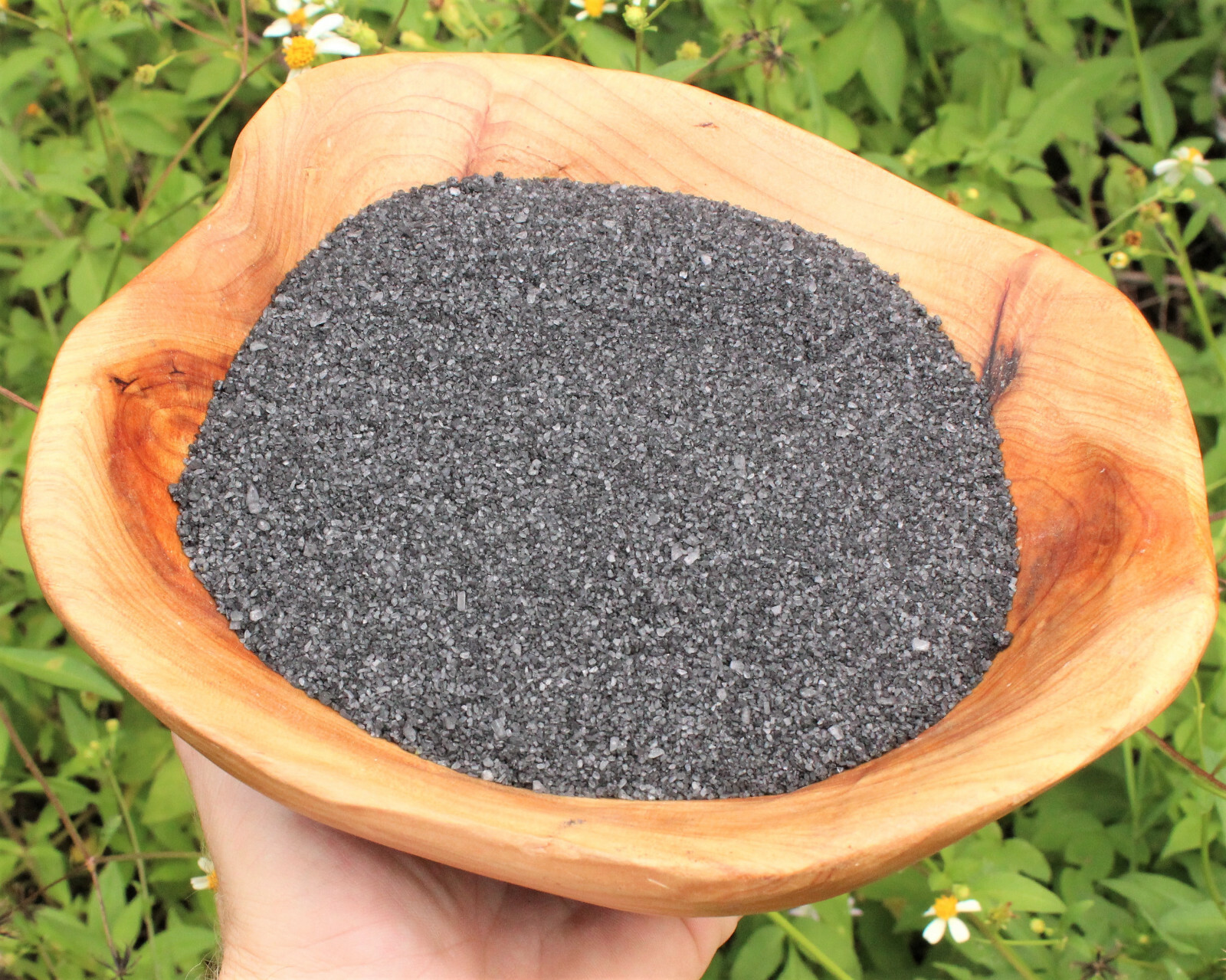 Sage Smudge Kit: Blue Sage, Mini Abalone Shell, Black Salt & Smudging Directions