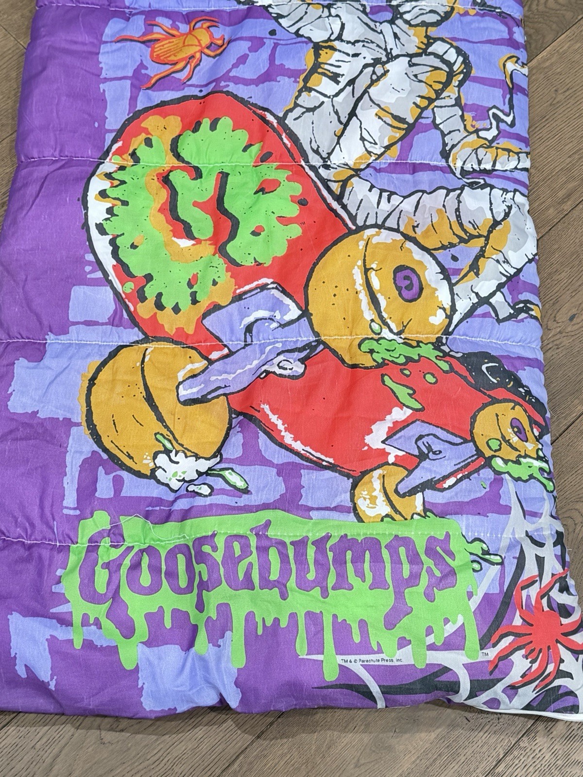 Vintage Goosebumps Skateboarding Mummy Sleeping Bag RL Stine Halloween 27x54