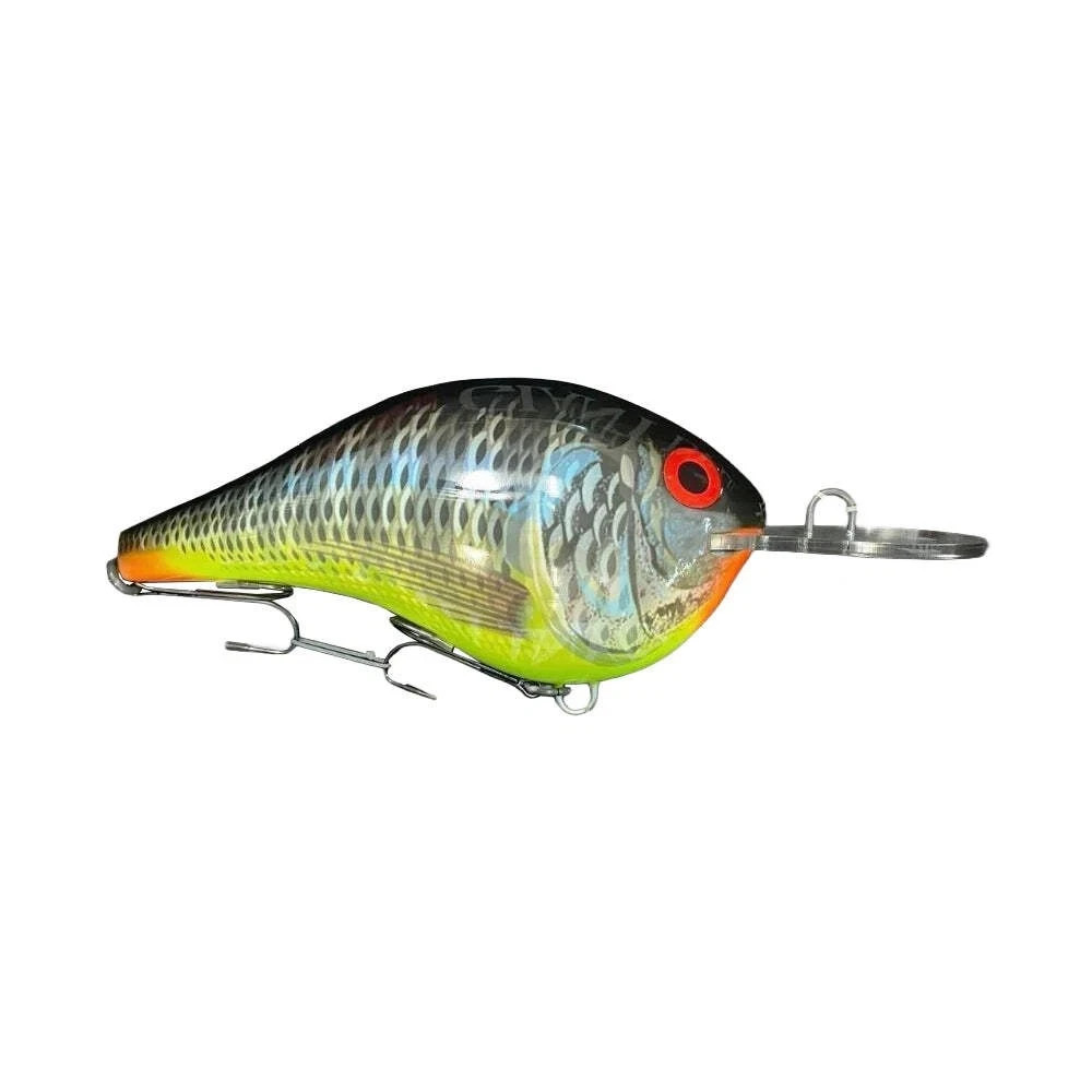 Rapala Giant Lure DT Tilapia  - RGDT-TIL + Display Box - Collector