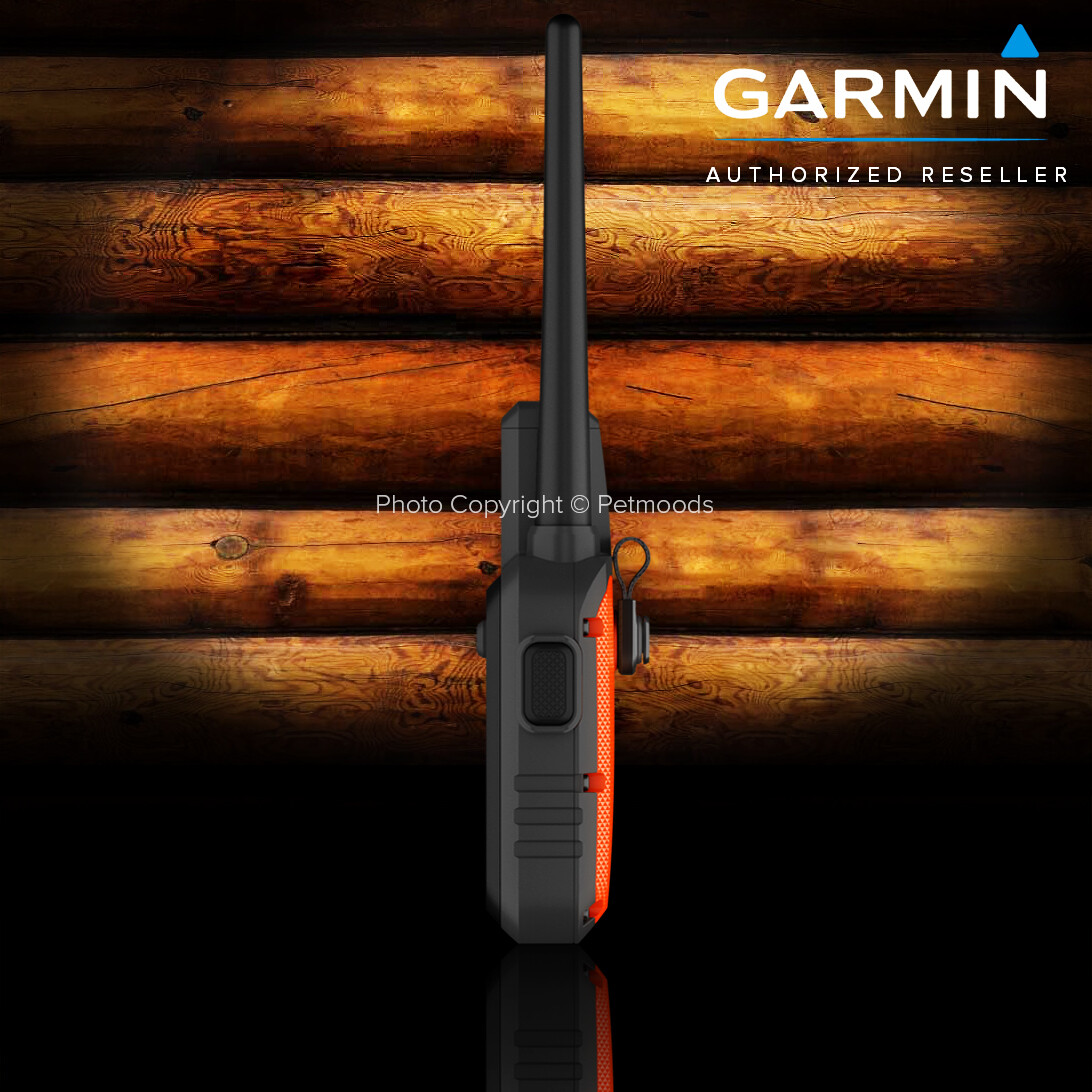 Garmin Alpha 10 Bundle TT15X Dog Device GPS Collar Tracking and Training