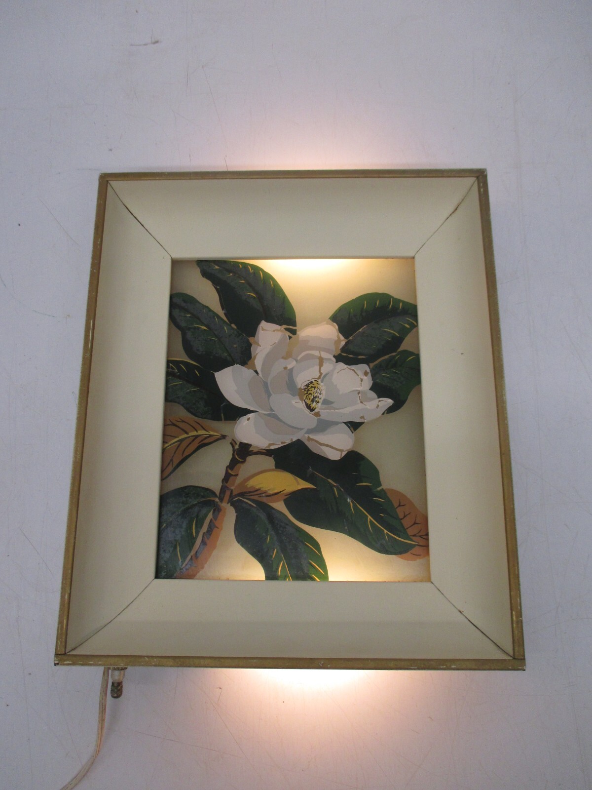 2 Vtg Reverse Painted Glass Floral George Telo Shadow Light Box Lighted Wall Art
