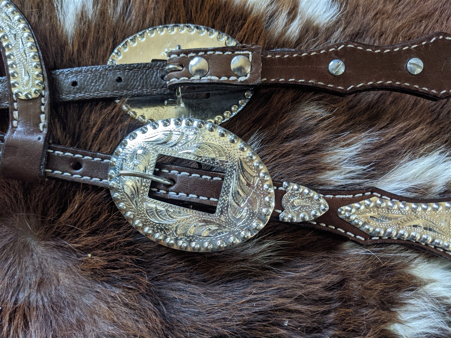 Dark Oil Show Headstall - Bridle - Double Ear -Silver Berry Edge