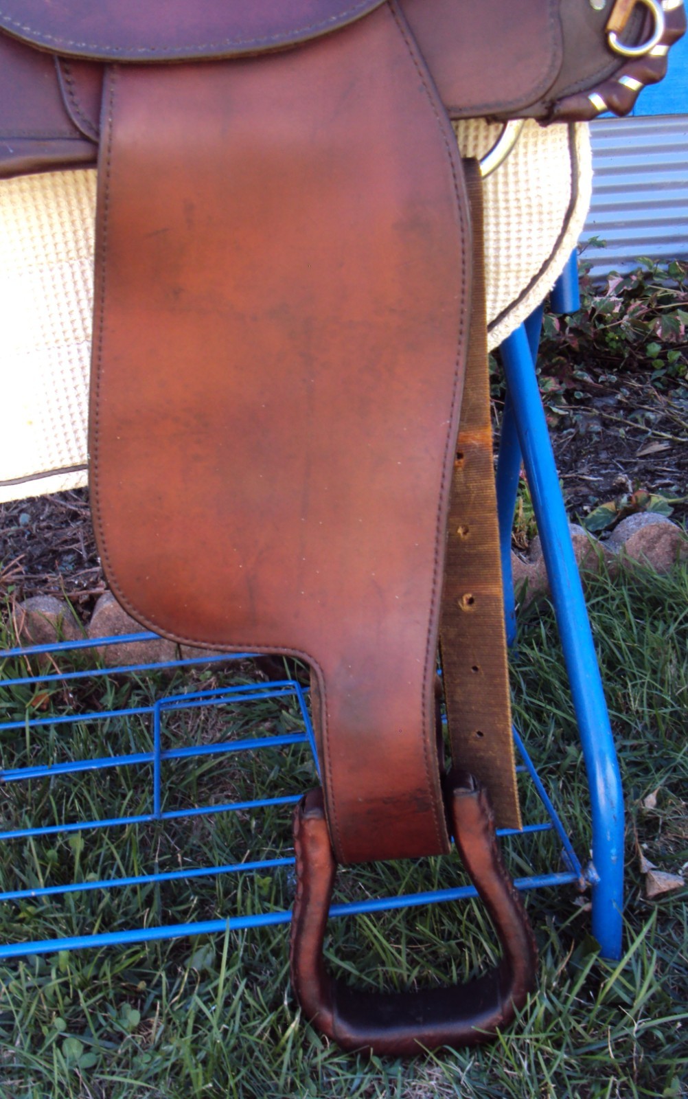 CIRCLE Y Western Show Saddle - 15" - SILVER CONCHOS - Padded Seat - BEAUTIFUL!