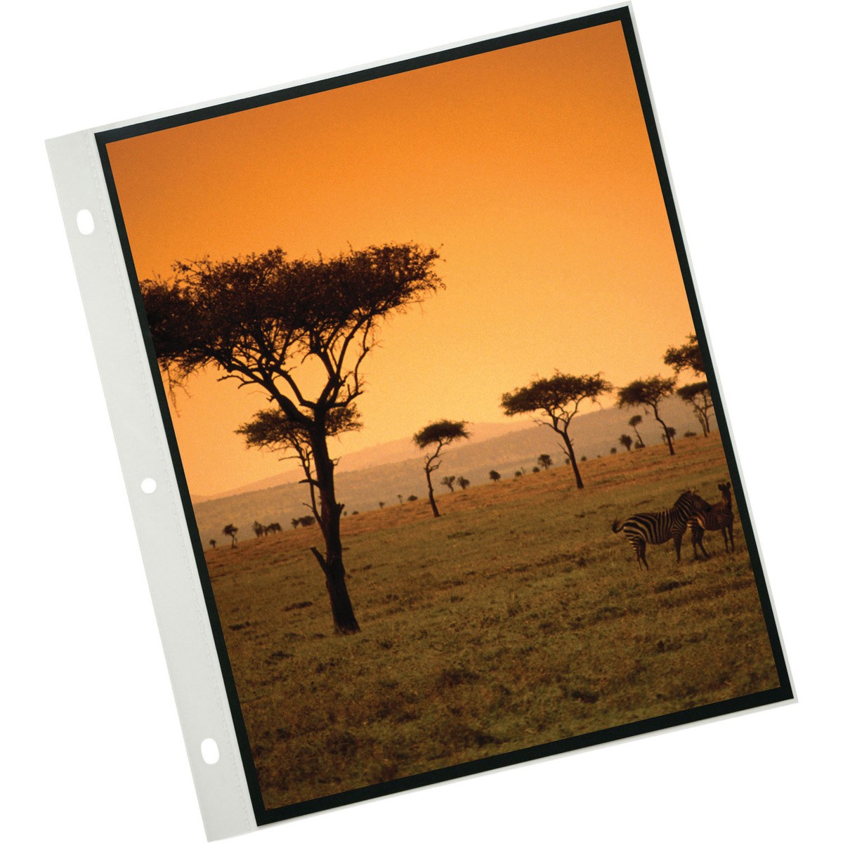 Itoya Art Profolio 18x24" Crystal Clear PolyGlass Pages, 10 Pages Per Pack