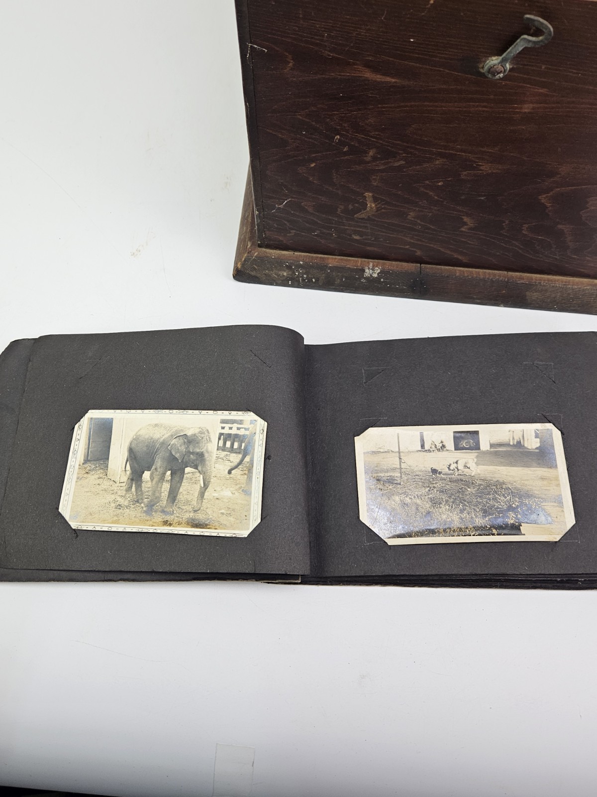 Antique Wooden Light Box For Developing Film Photo Developer Vintage Darkroom