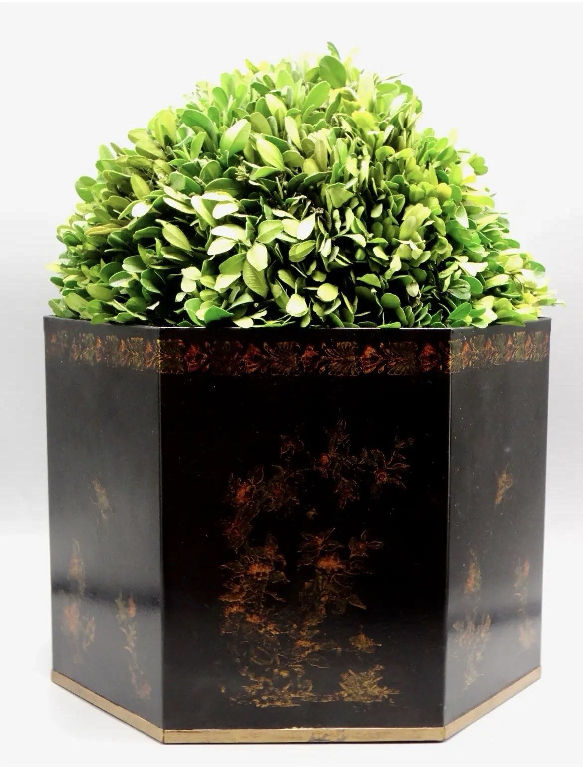 Italian Regency Style Toleware Jardinieres Preserved Boxwood Pair Gumps