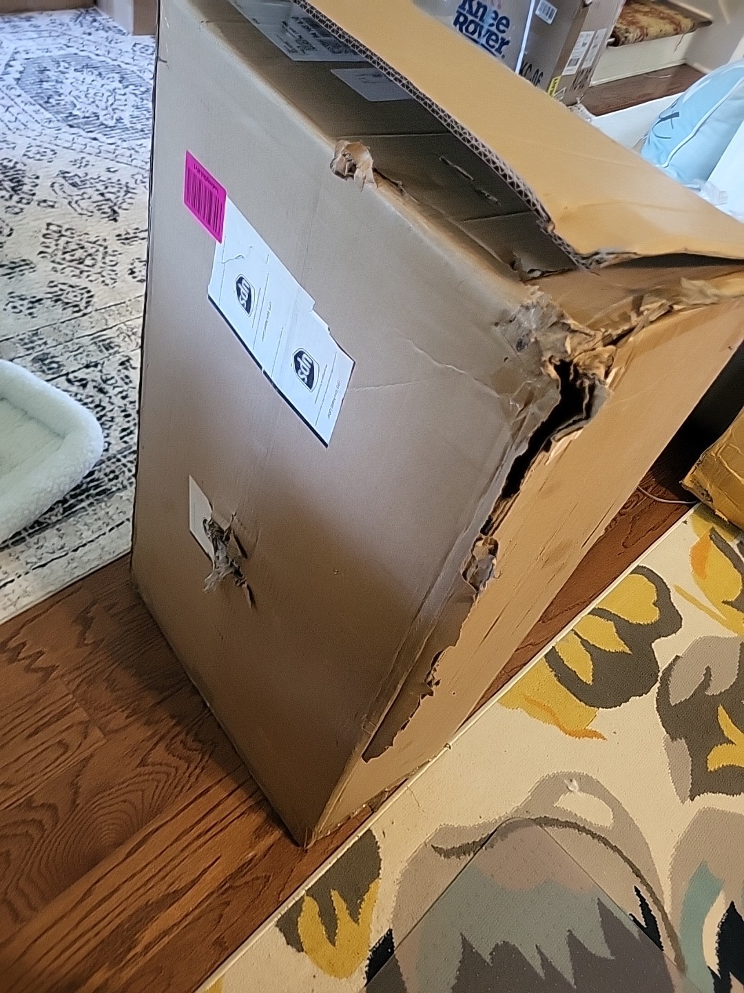 Pet Stroller with Detachable Carrier - Ideal for Small to Medium Dogs & Cats ...