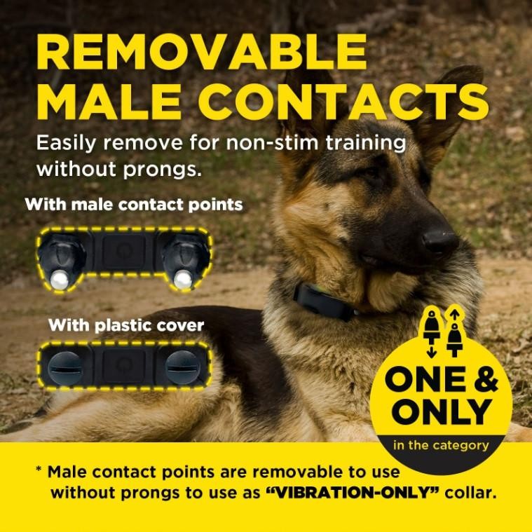 Dogtra ARC-X HANDSFREE Dog Remote Training Collar 3/4 Mile Boost, Tone & XPP Vib