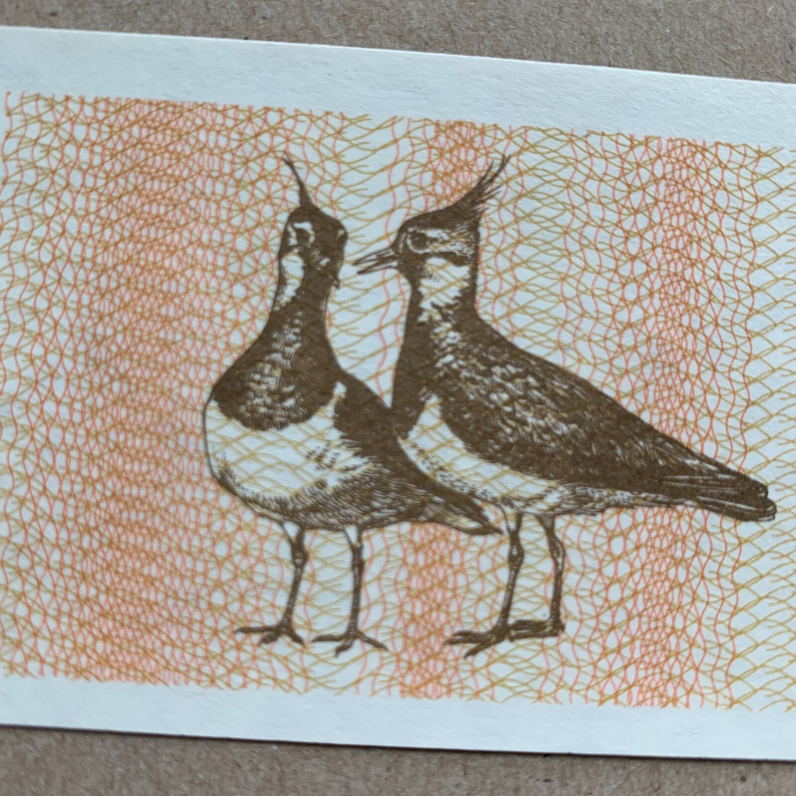 Birds Lithuania 1 Talonas Banknote 1992 EX USSR Lithuanian Currency Paper Money