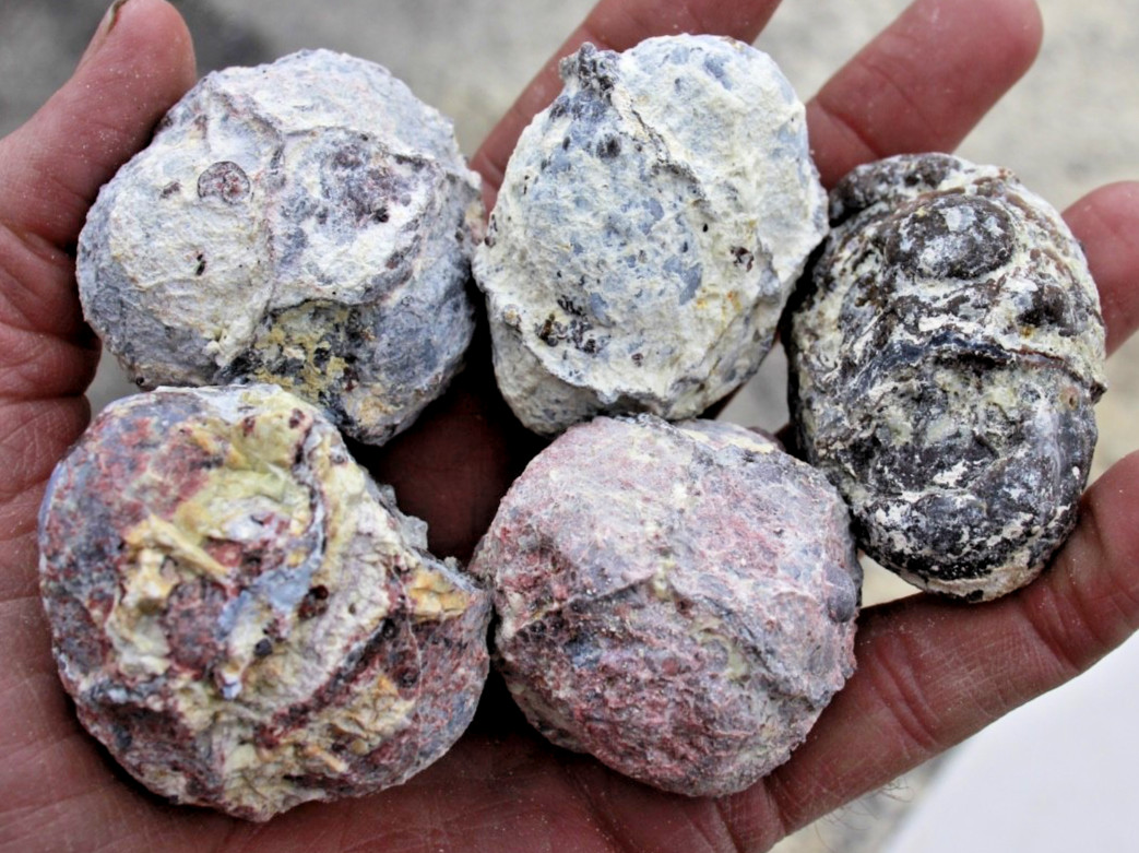 One Pound, 5-7 Whole Dugway Geodes • 1.5" - 2.0" diam.