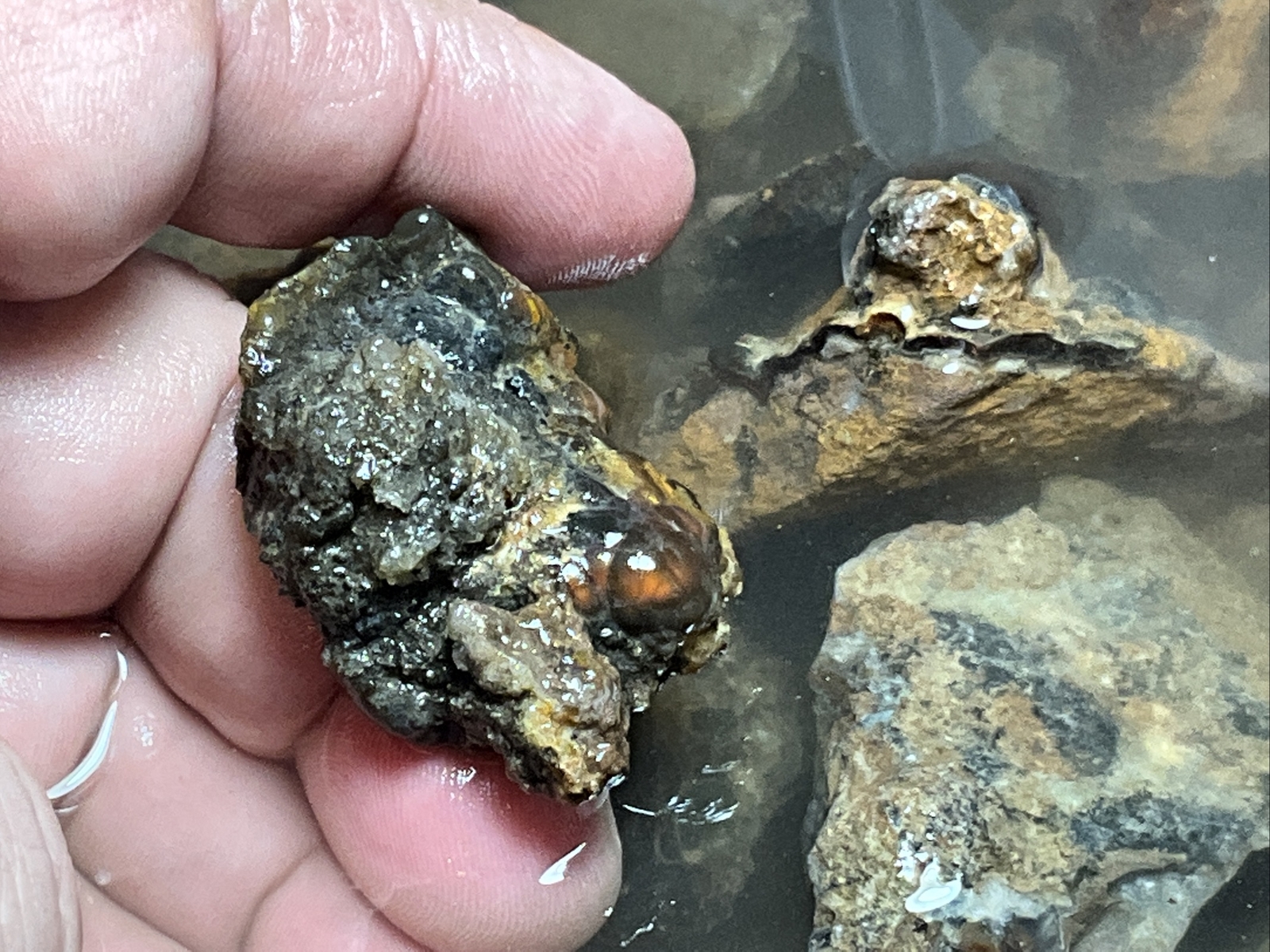 1/4 Pound Fire Agate Choice & Mid Grade Professionally Chosen Colorful Rough Lot