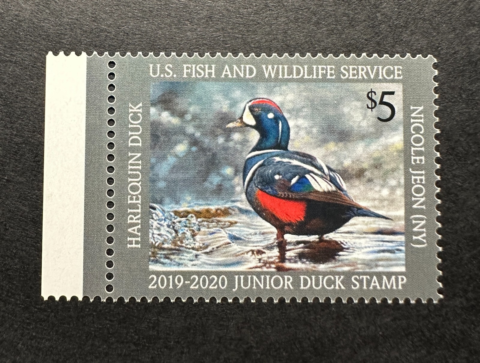 WTDstamps - #JDS27 2019 - Junior Duck Stamp **Nicole Jeon** Mint OG NH