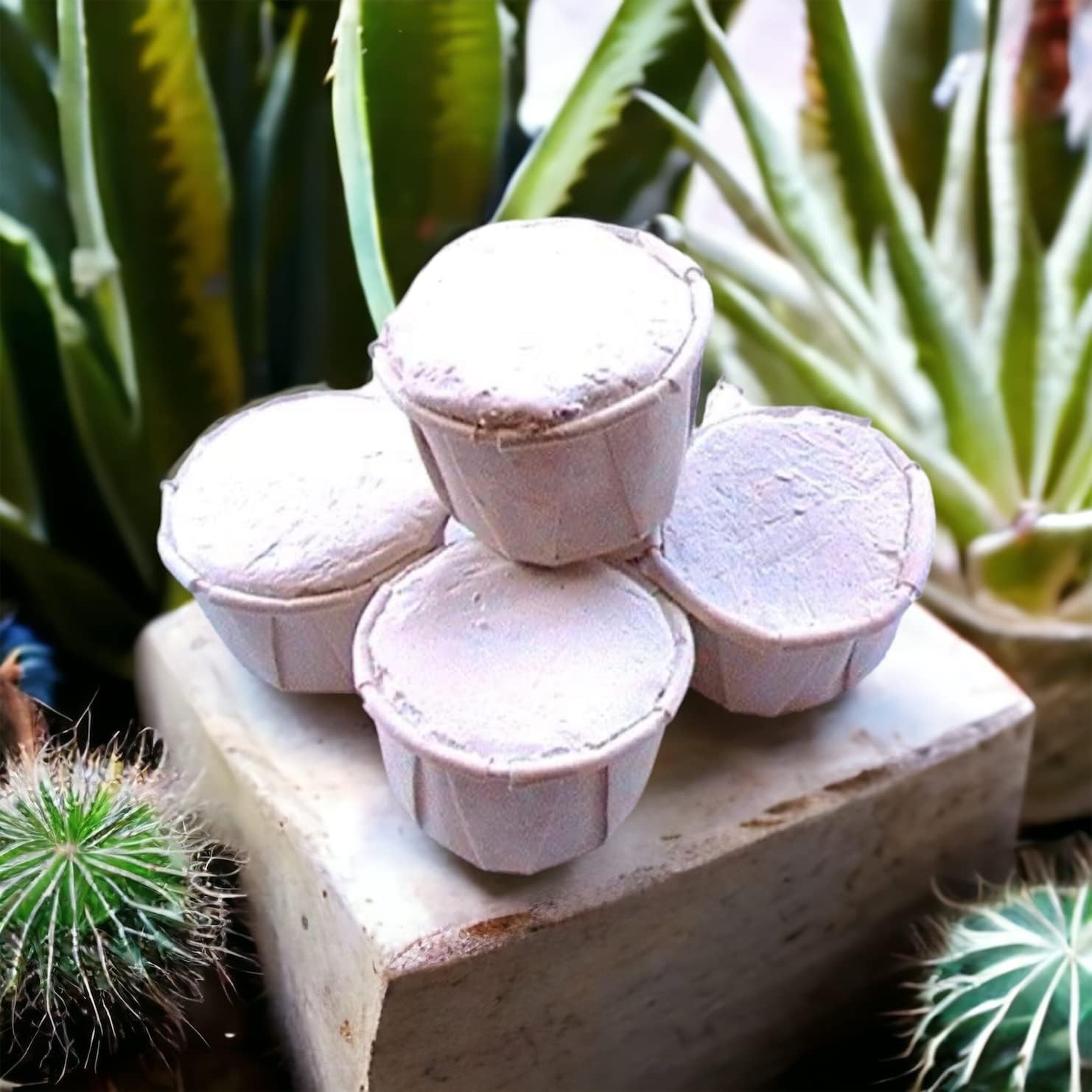 Cascarilla - Efun - White Eggshell Powder ~ 5 Pack