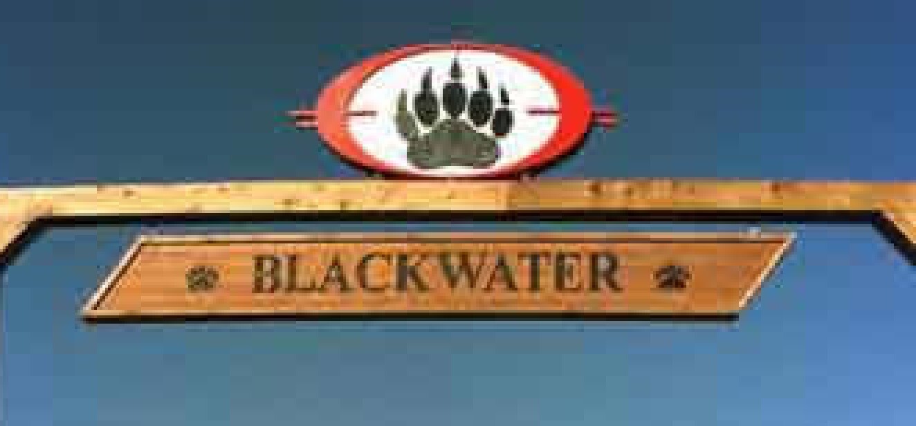 IRAQ WAR GREEN ZONE EMBASSY PRIVATE SECURITY CONTRACTOR PMC BSC Ball Cap (grey)