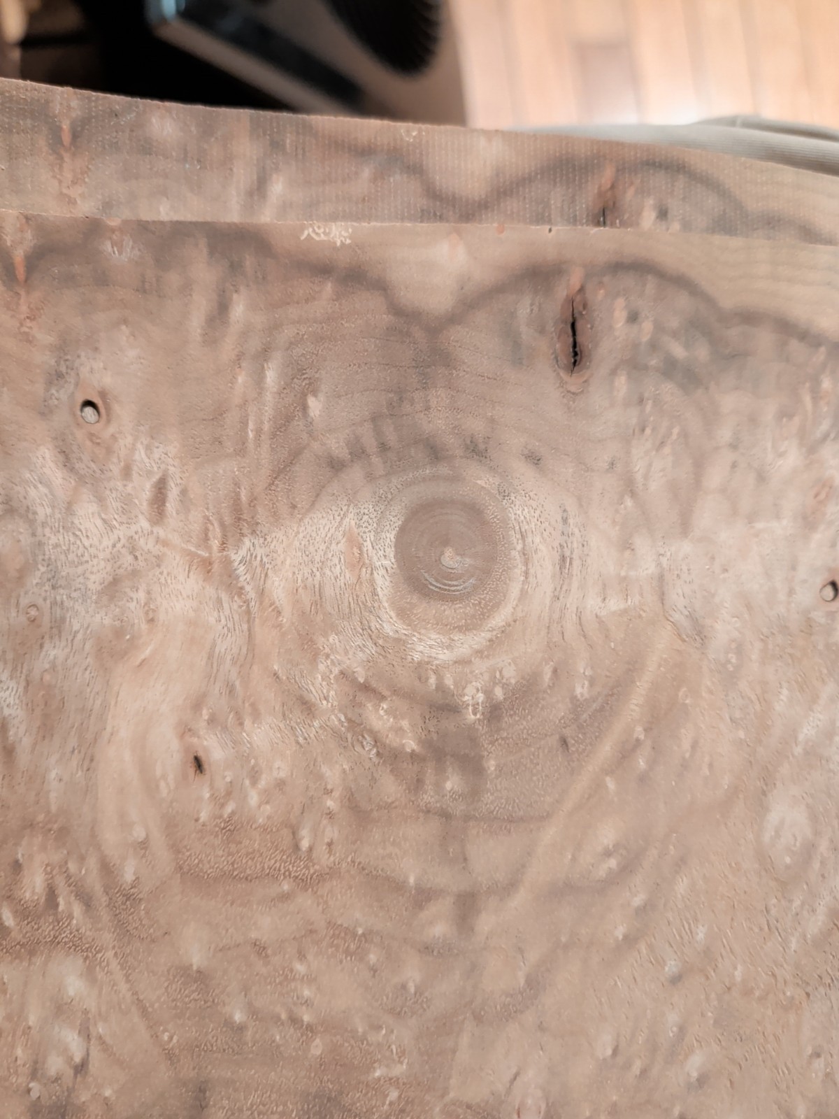 Myrtlewood burl veneer 2 pieces 18 1/4" x 11 5/8" each wood 1/42" raw