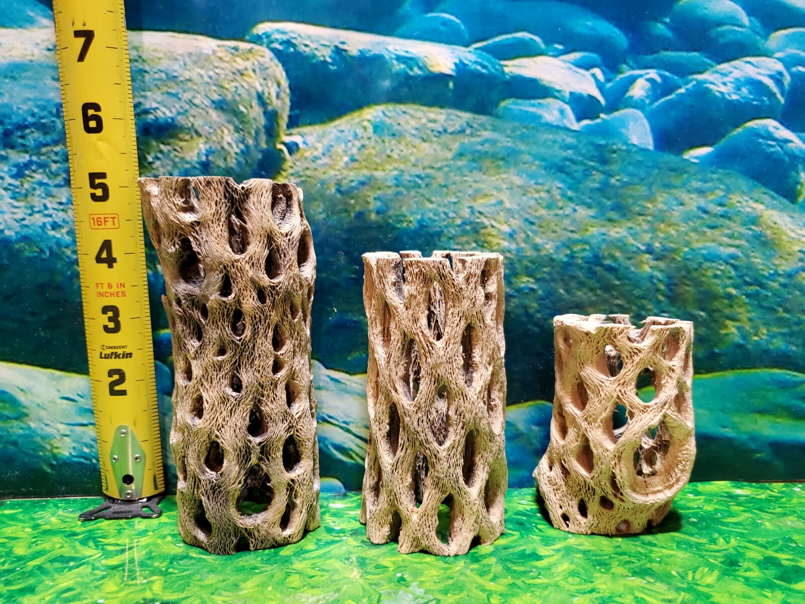 TEDDY BEAR CHOLLA Wood | 3 pcs, 3 sizes | Nice Air Plant Display Stands | Crafts