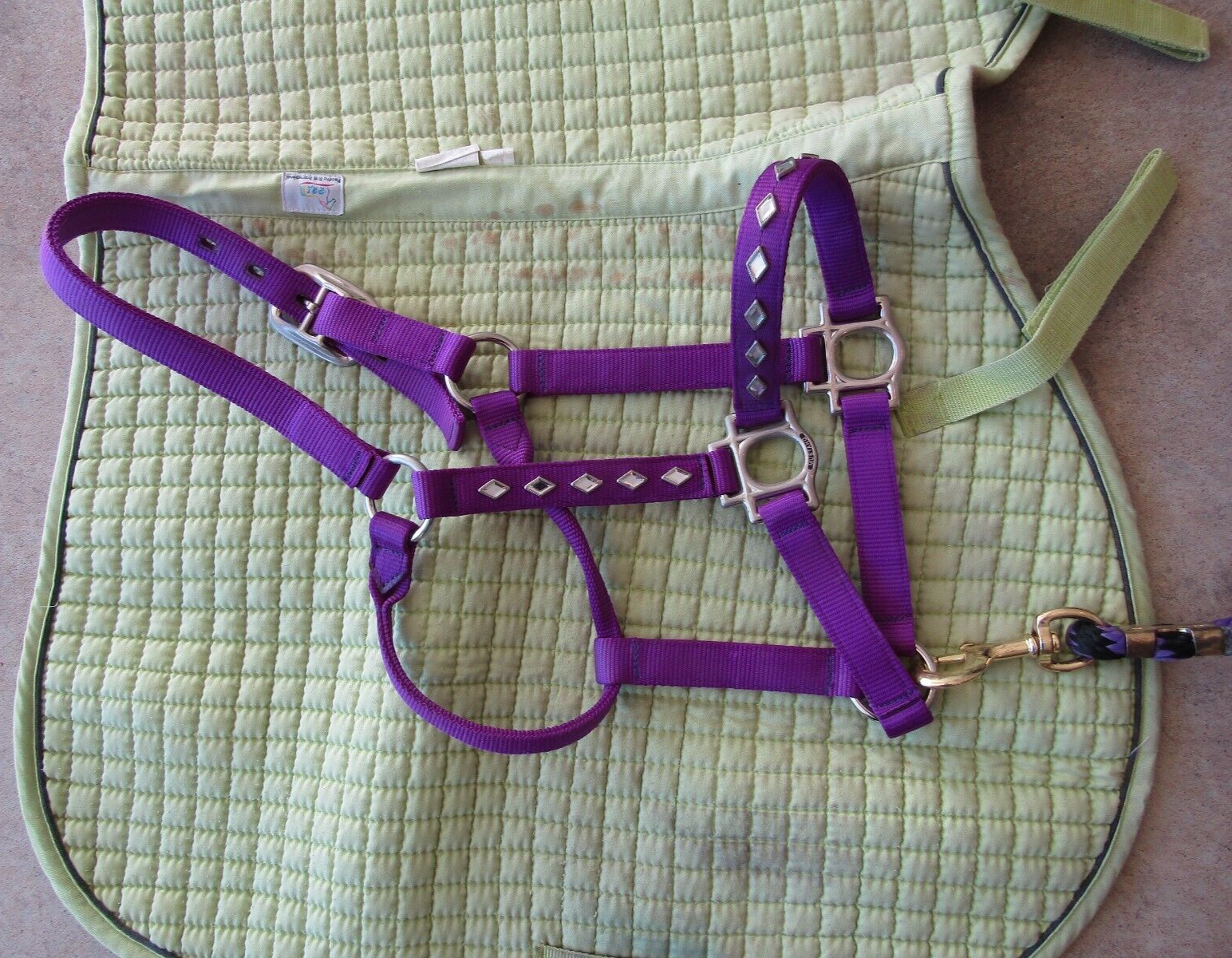 Horse riding and care equipment large lot !