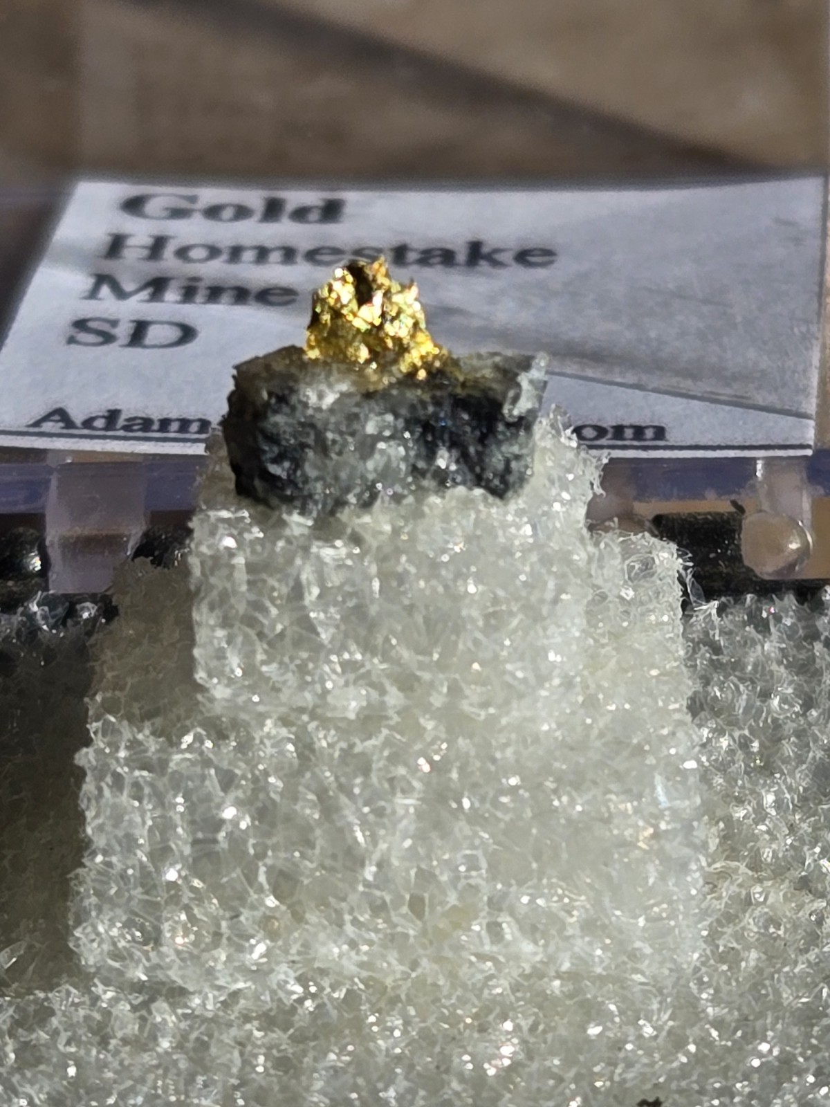 Beautiful Gold Thumbnail specimen